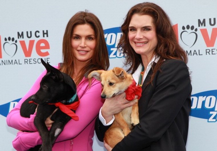 As celebridades e os seus animais de estimação