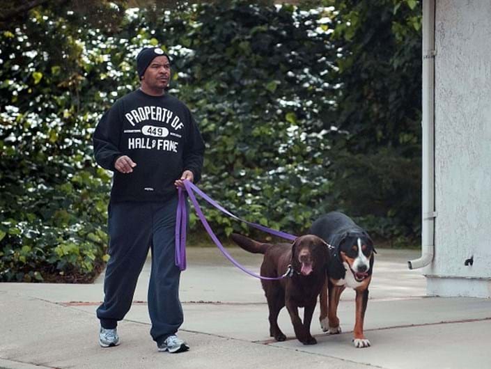 As celebridades e os seus animais de estimação