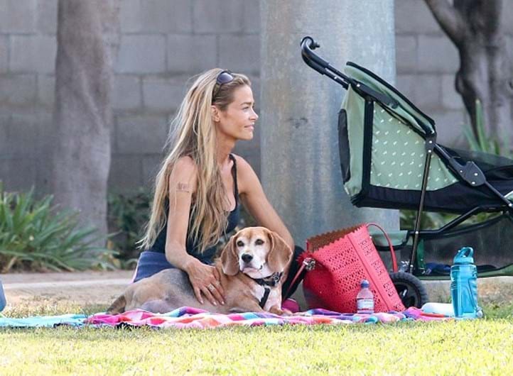 As celebridades e os seus animais de estimação