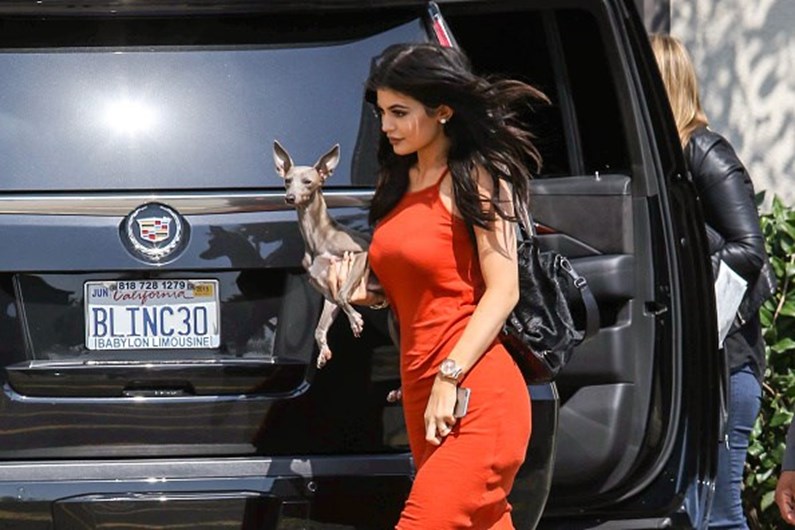 As celebridades e os seus animais de estimação