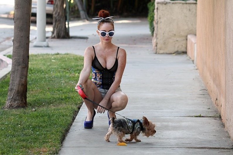 As celebridades e os seus animais de estimação
