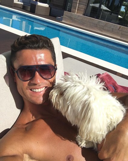 As celebridades e os seus animais de estimação