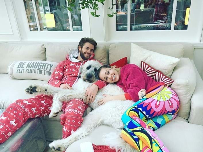 As celebridades e os seus animais de estimação