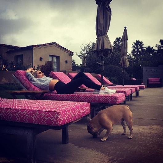 As celebridades e os seus animais de estimação