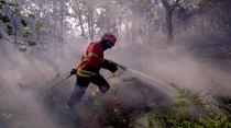 Incêndio pode ser dado como extinto nos próximos dois dias