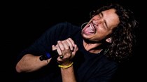 Médico legista diz que Chris Cornell se suicidou