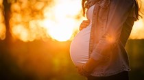 Vão à terapia para serem mães perfeitas