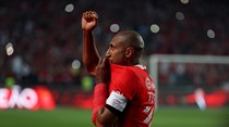 Luisão vai retirar-se em 2019