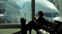Austrália planeia proibir pedófilos de viajar para o estrangeiro