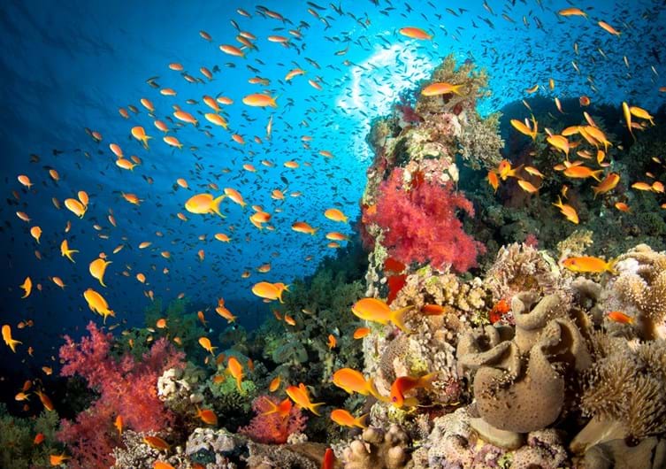 Avène Ocean Respect