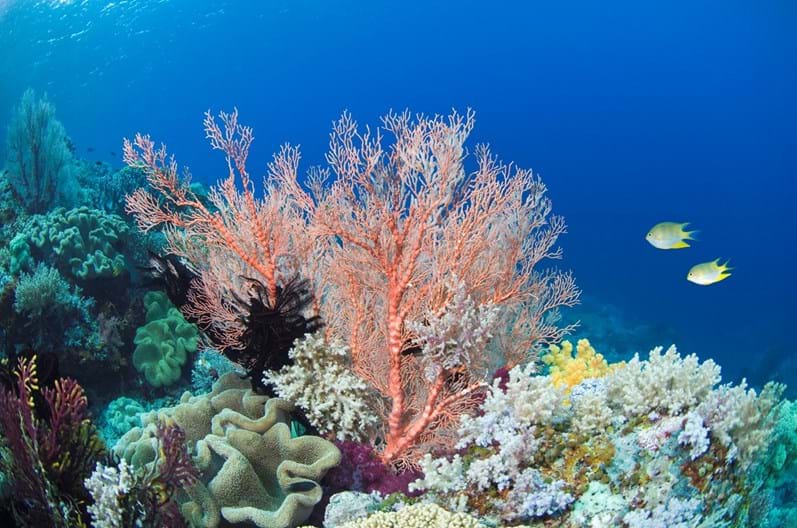 Avène Ocean Respect