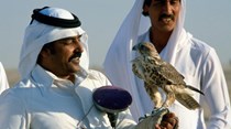 Qatar pagou milhões de euros em resgate a terroristas