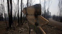 Gastos com incêndios podem não entrar no défice