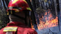 Cem bombeiros e quatro meios aéreos combatem fogo na Sertã