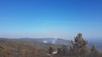 Registados novos focos de incêndio no distrito de Leiria