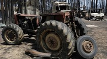 Governo coordena alimentação de animais em zonas ardidas
