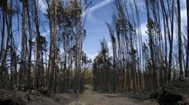 O que se sabe e o que falta saber sobre o incêndio