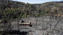 MAI nomeou 30 chefias da Protecção Civil 74 dias antes de Pedrógão