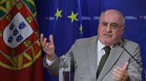 Governo recusa suspender programa de rearborização de eucaliptos