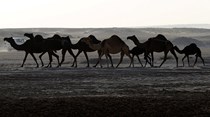 Bahrein acusa Qatar de “escalada militar”