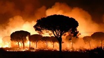 Incêndio em Doñana com duas frentes activas