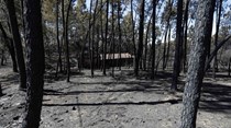 Governo critica PSP e ANPC sobre incêndio em Pedrógão Grande