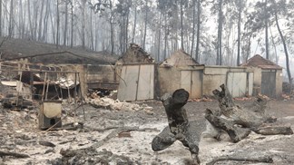 Governo devolve IVA cobrado nas linhas de solidariedade