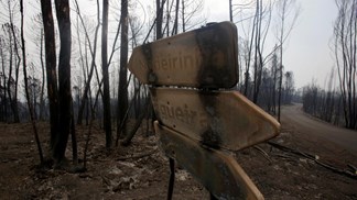 Câmara diz que único apoio psicológico no terreno está a ser dado pelos fuzileiros
