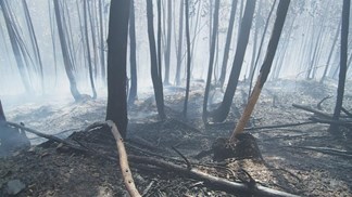 Bombeiros de Castanheira de Pera continuam com prognóstico reservado
