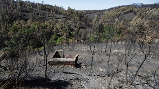 MAI nomeou 30 chefias da Protecção Civil 74 dias antes de Pedrógão