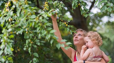 Como manter o seu bebé fresco no Verão