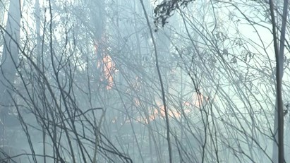 Civis alertam bombeiros e ajudam a prevenir reacendimentos