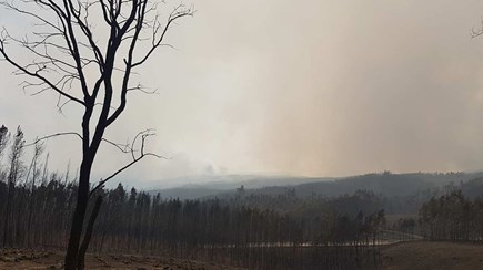 Comissão de Pedrógão adia relatório para depois das autárquicas