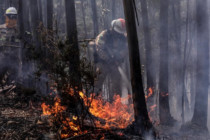 Militares da GNR metem baixa psicológica — Incêndio Pedrógão