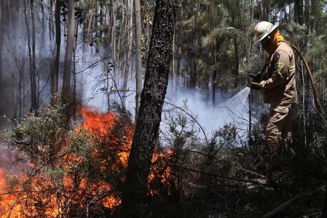 Militares da GNR metem baixa psicológica — Incêndio Pedrógão