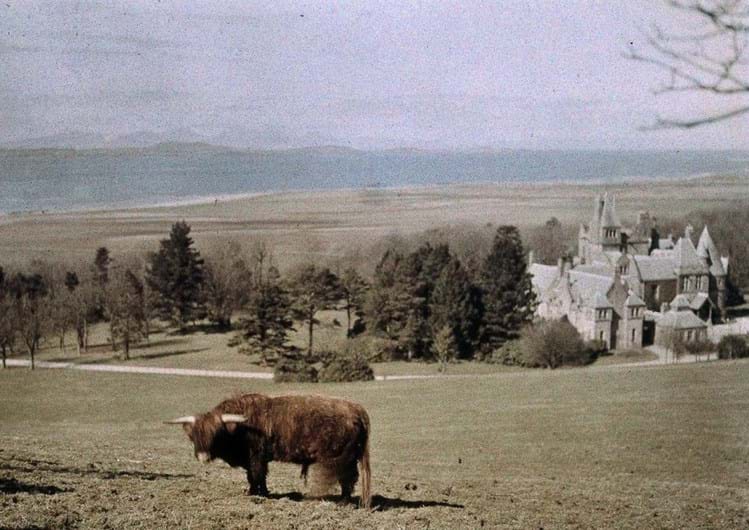 Fotografias a cor mostram o mundo há 100 anos