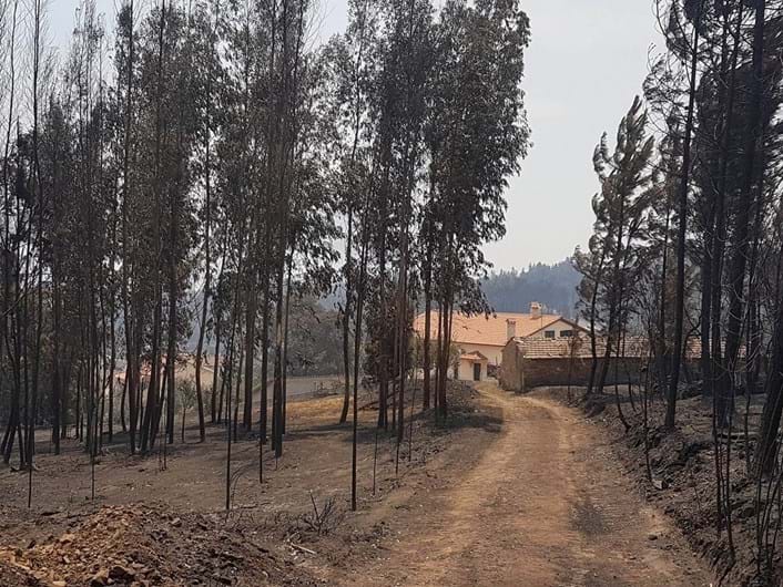 As fotos da desolação de Pedrógão Grande