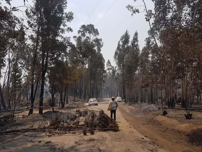 As fotos da desolação de Pedrógão Grande