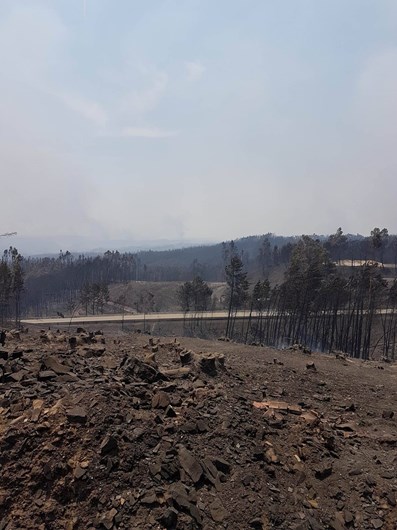 As fotos da desolação de Pedrógão Grande