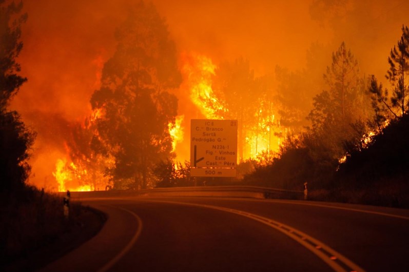 Incêndio em Pedrogão Grande