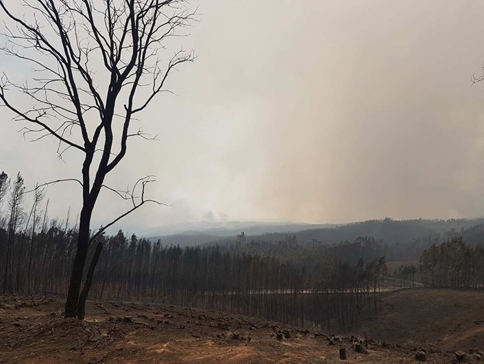 As fotos da desolação de Pedrógão Grande