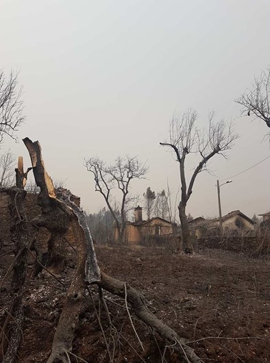 As fotos da desolação de Pedrógão Grande