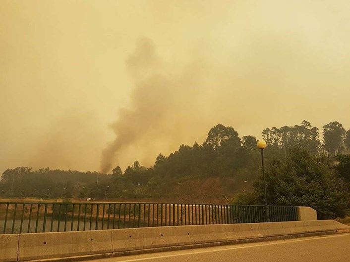 As fotos da desolação de Pedrógão Grande