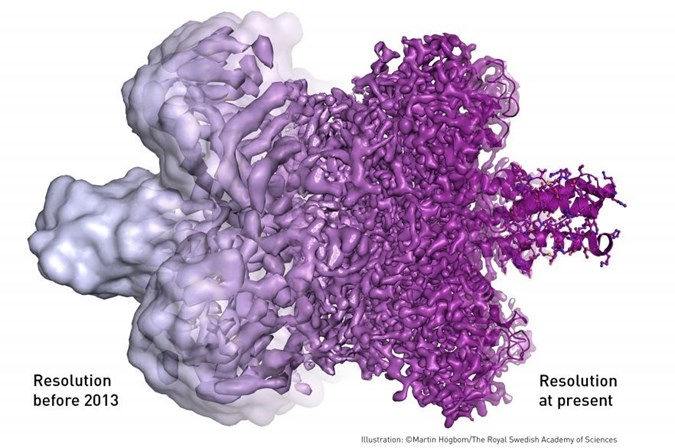 Nobel da Química entregue a três cientistas Nobel da Química entregue a três cientistas