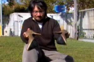 O chão que elas pisam