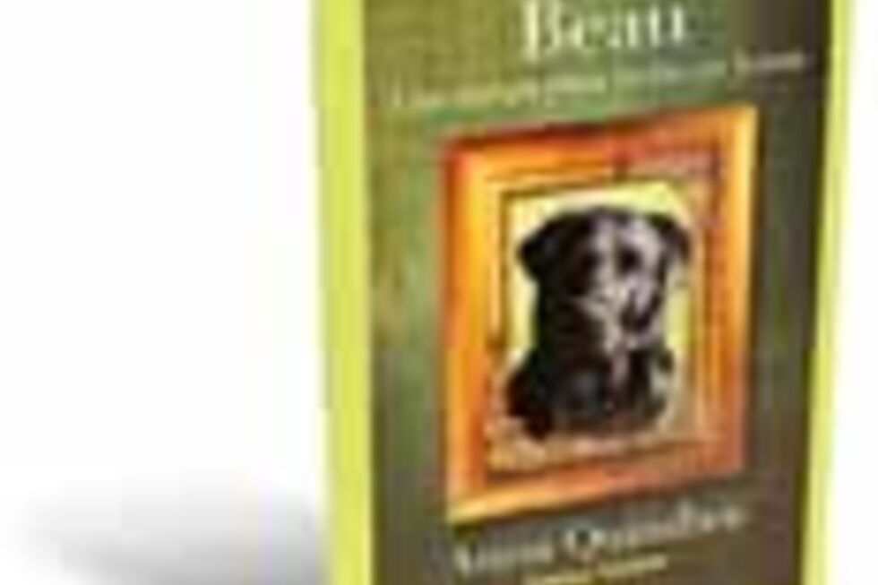 Beau - Amigo Para Todas as Horas