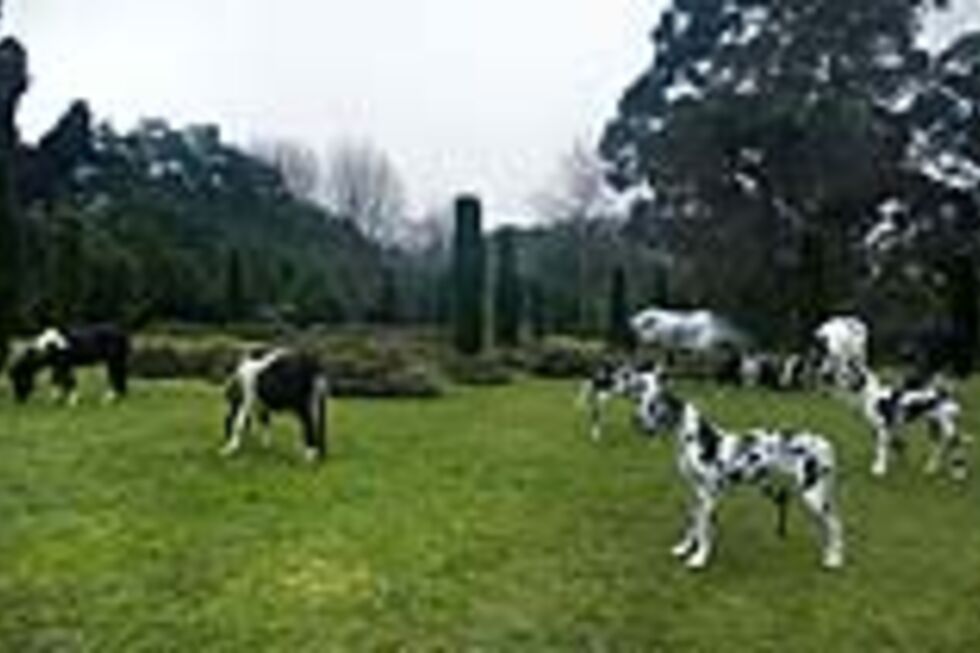 Bethan Huws: Fountain