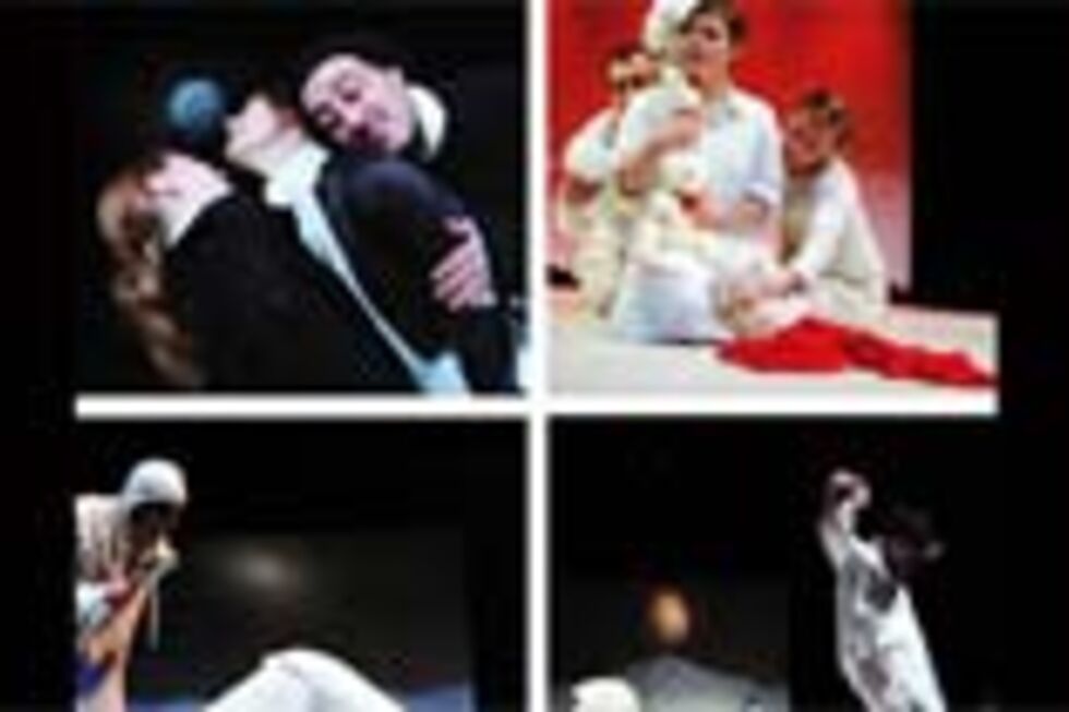 O Pinguim Sem Fraque