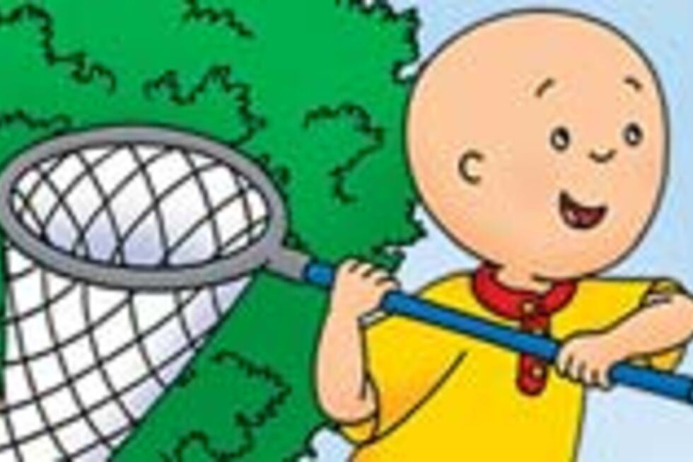 Ruca: Uma Aventura no Campo