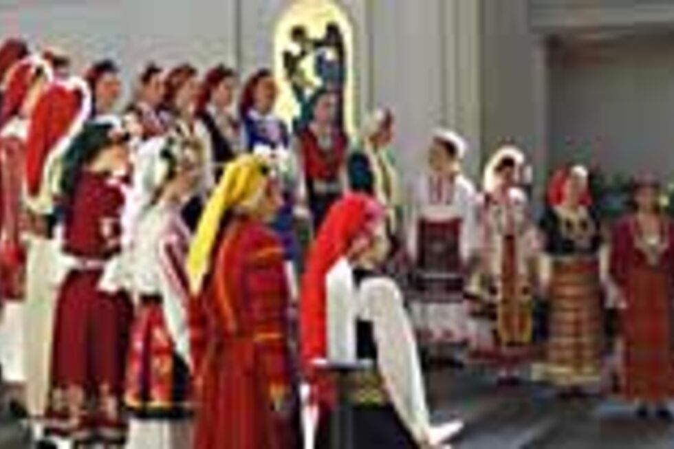 Angelite (Arcos de Valdevez)